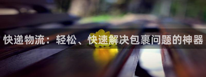 28圈辅助