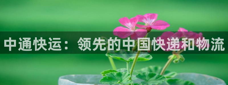 pc28圈怎么注册：中通快运：领先的