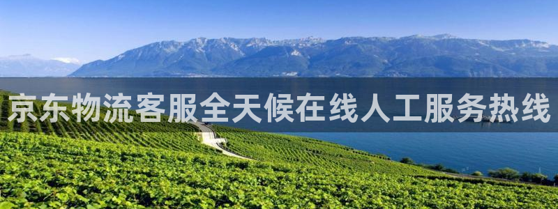28圈官方网站：京东物流客服全天候在