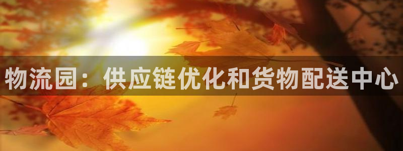 28圈连输10天：物流园：供应链优化