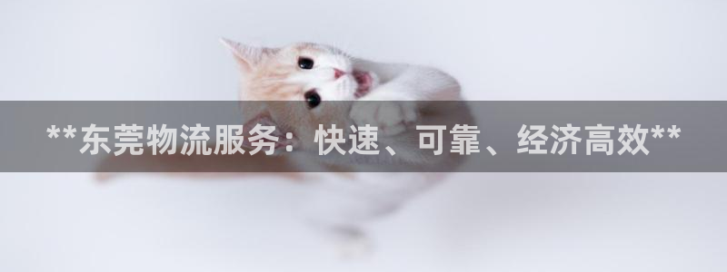 pc28圈怎么注册：**东莞物流服务：快速、可靠、经济高效*