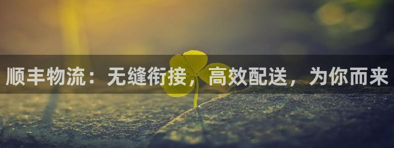 28圈免费充钱：顺丰物流：无缝衔接，