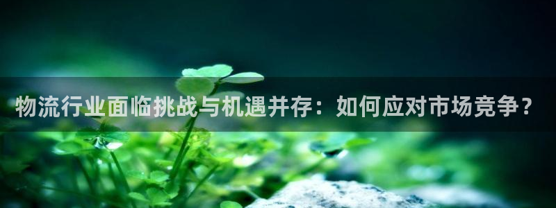 28圈充值不处理