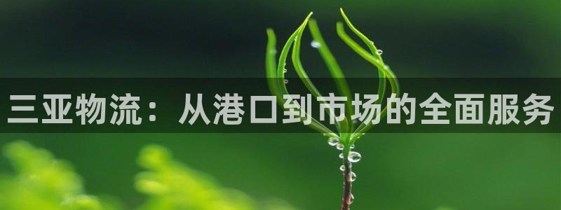 28圈赌博软件正规吗：三亚物流：从港