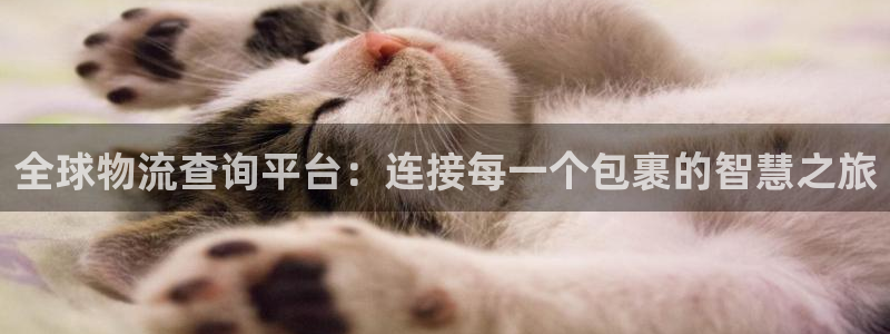 28圈官方版网站