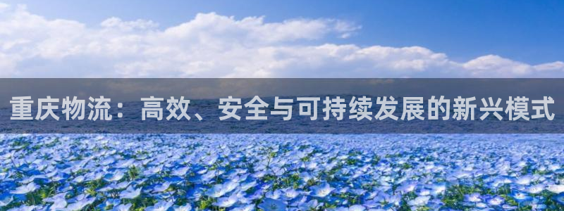 28圈ccm官网版：重庆物流：高效、