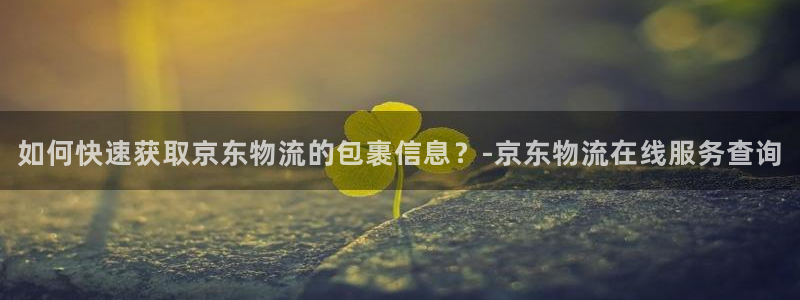 南宫28圈怎么注册：如何快速获取京东