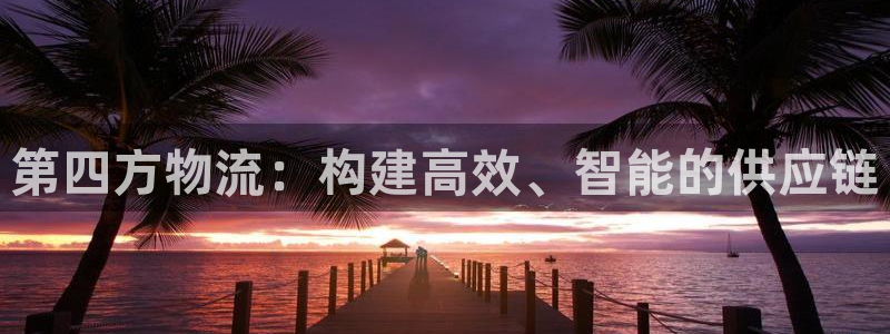 28圈为什么没有赢过一次：第四方物流：构建高效、智能的供应链