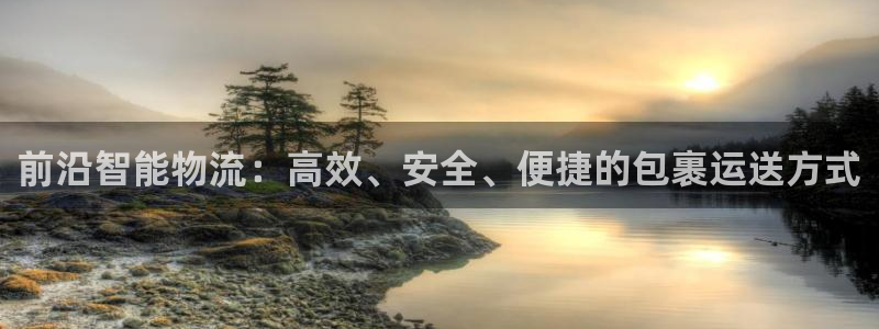 28圈最稳打法：前沿智能物流：高效、