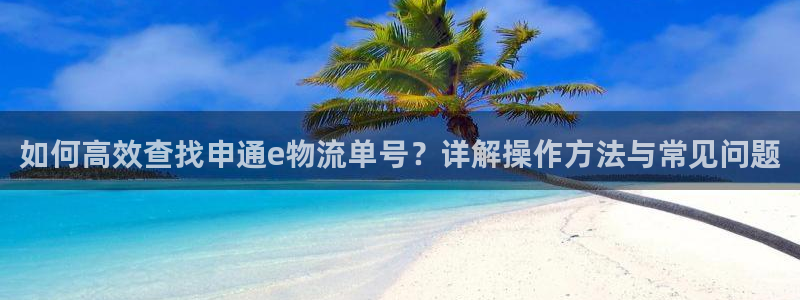 28圈玩法：如何高效查找申通e物流单