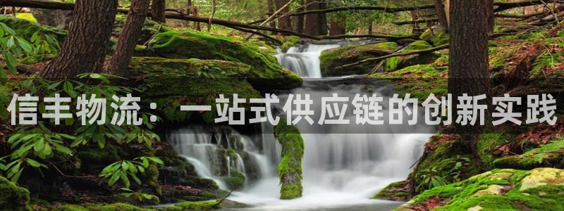 28圈注册二维码：信丰物流：一站式供