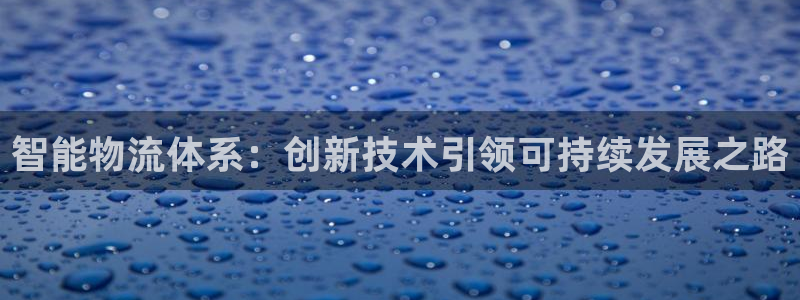28圈加拿大怎么玩：智能物流体系：创