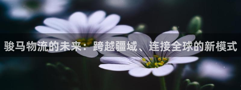 28圈注册问一问：骏马物流的未来：跨