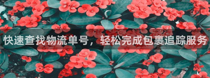 28圈登录不上咋回事：快速查找物流单