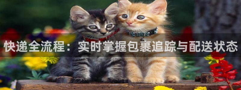 28圈怎么下载教程