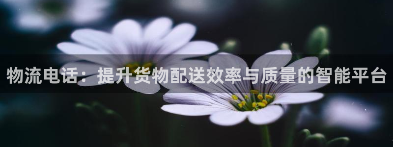 28圈注册网站多少钱一个：物流电话：