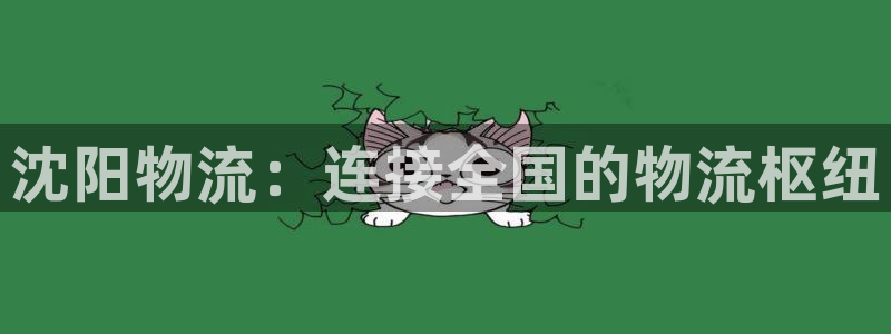 28圈提现未达5期是什么意思：沈阳物