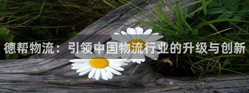 28圈口内径是多大：德帮物流：引领中