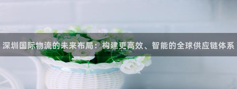 28圈链接来一个：深圳国际物流的未来