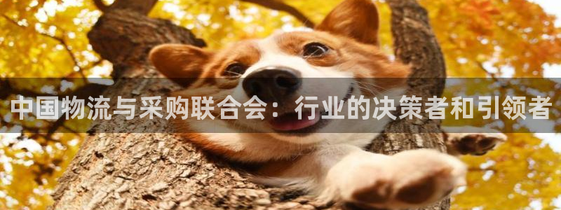 28圈官方网站预测：中国物流与采购联合会：行业的决策者和引领