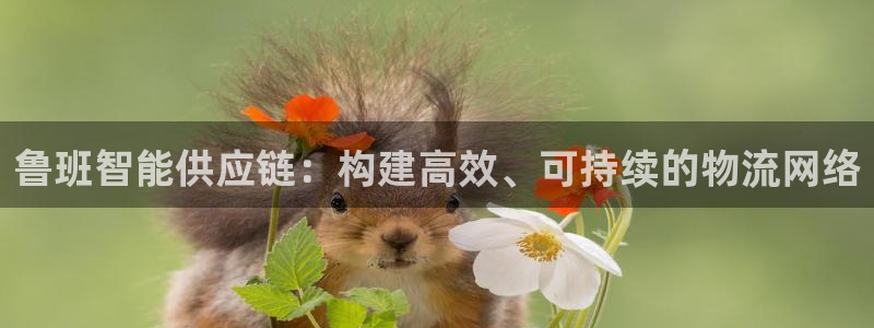 28圈加拿大是什么意思：鲁班智能供应