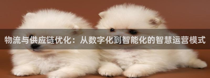 28圈模拟器在线玩：物流与供应链优化