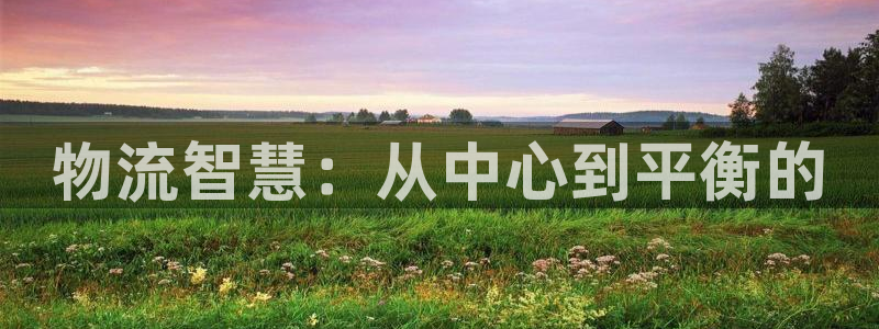 28圈怎么注册下载：物流智慧：从中心