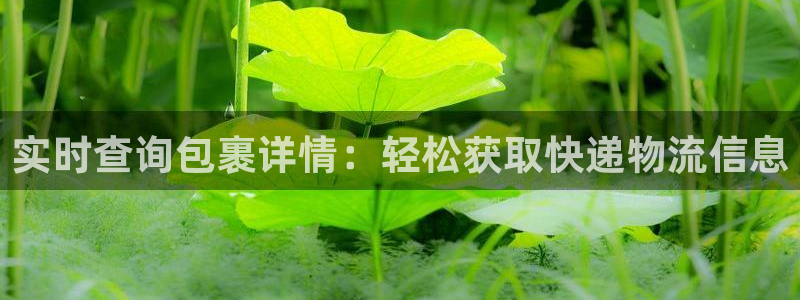 28圈昵称：实时查询包裹详情：轻松获