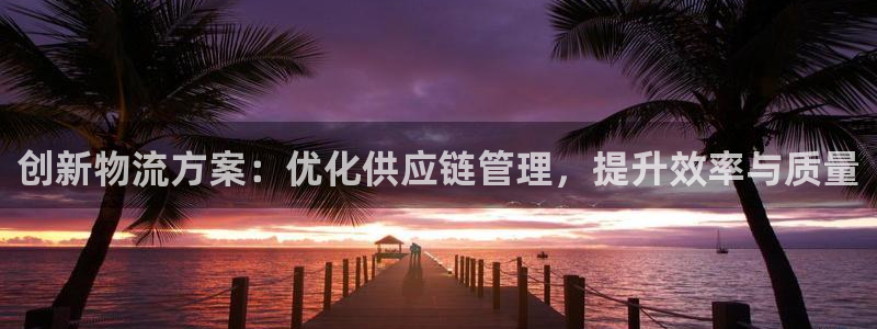 28圈为什么打不开：创新物流方案：优化供应链管理，提升效率与