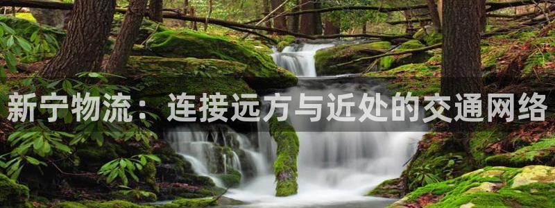 28圈能赢钱吗