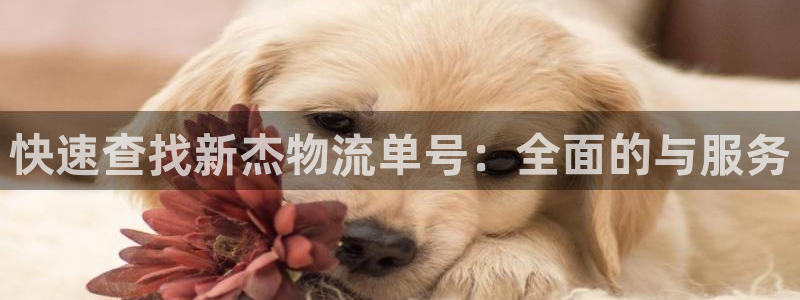 28圈游戏官网版
