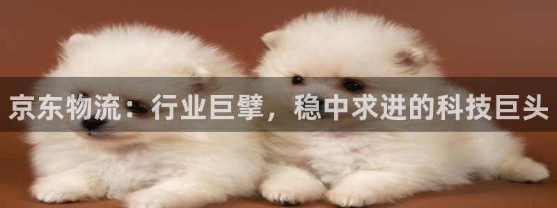 28圈农业银行是狗卡吗：京东物流：行