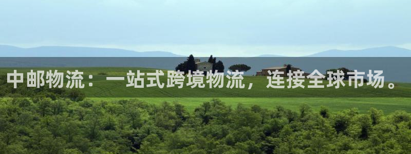 28圈官方网站预测