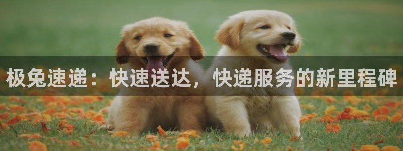 28圈能赢钱吗：极兔速递：快速送达，