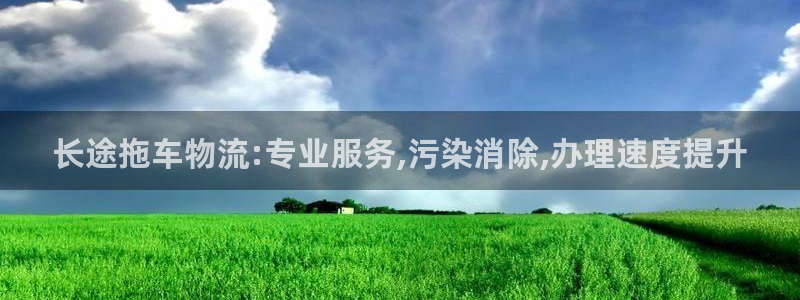 28圈大神预测