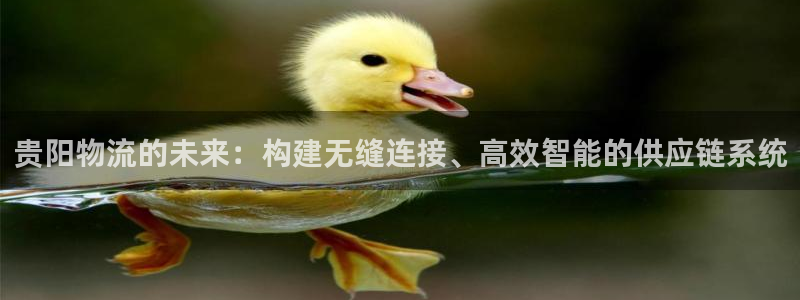 28圈模拟器在线玩