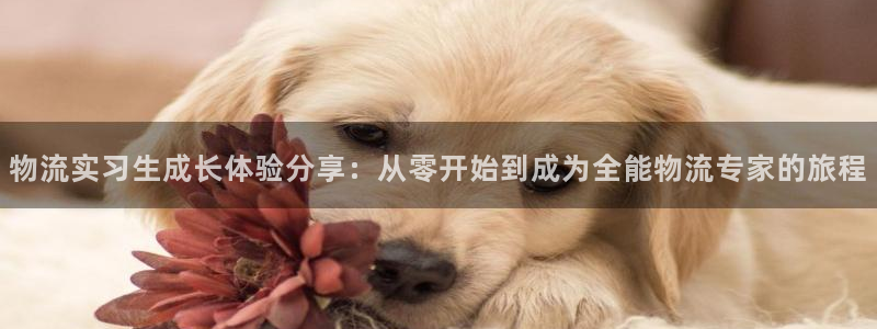 28圈自行车图片大全