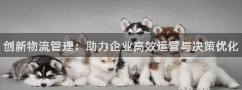 28圈软件有什么用：创新物流管理：助