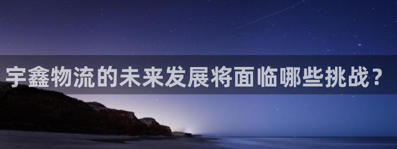 28圈在线预测：宇鑫物流的未来发展将