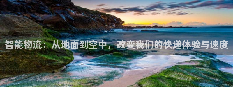 28圈软件堵什么反什么：智能物流：从地面到空中，改变我们的快