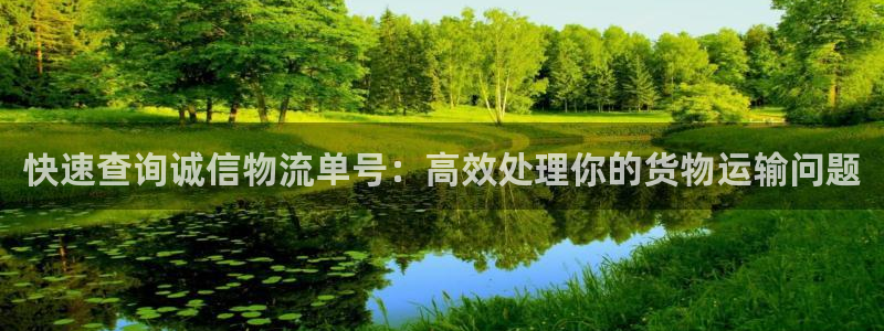 28圈链接是什么