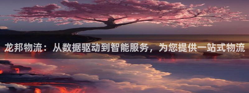 28圈模拟：龙邦物流：从数据驱动到智