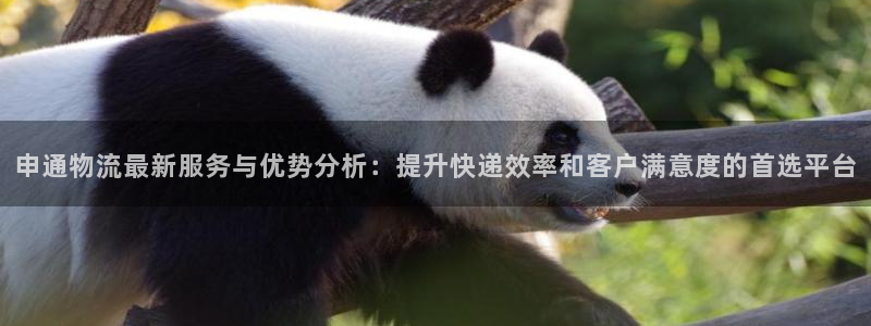28圈推广链接是多少：申通物流最新服