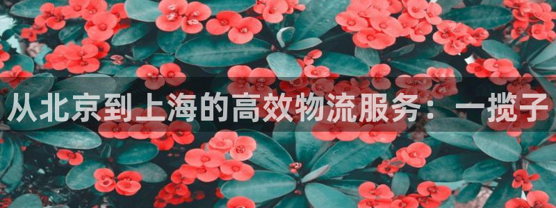 28圈现在狂杀