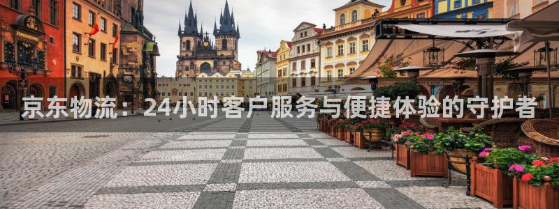 28圈提款一直没到：京东物流：24小时客户服务与便捷体验的守
