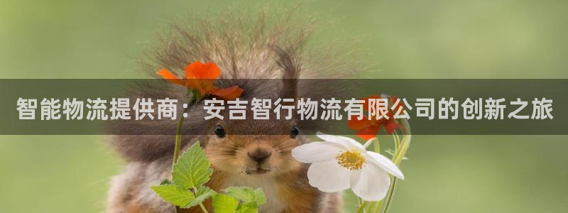 28圈充值：智能物流提供商：安吉智行物流有限公司的创新之旅