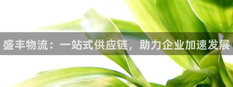 pc28圈怎么注册：盛丰物流：一站式