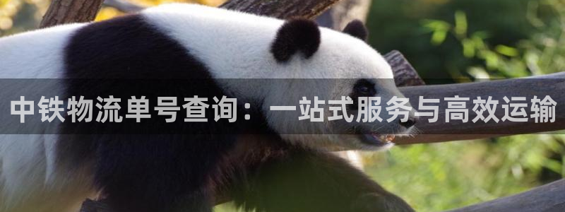 28圈注册用户名是什么：中铁物流单号