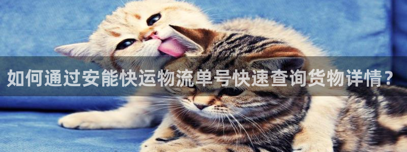 28圈能赢钱吗