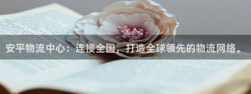 28圈注册网站链接：安平物流中心：连